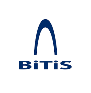 12_BITIS